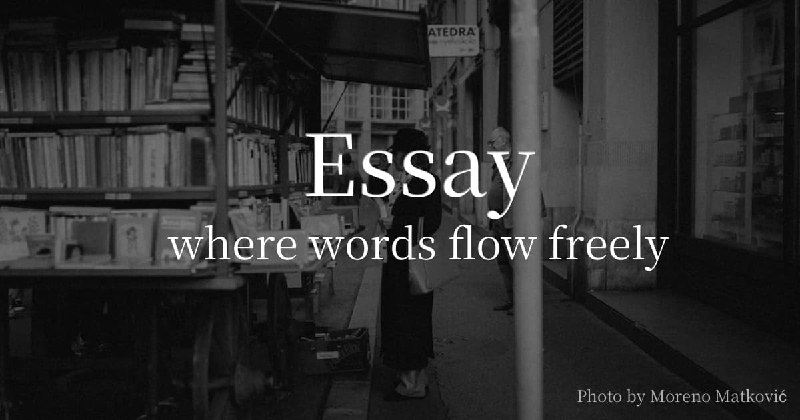 Essay
